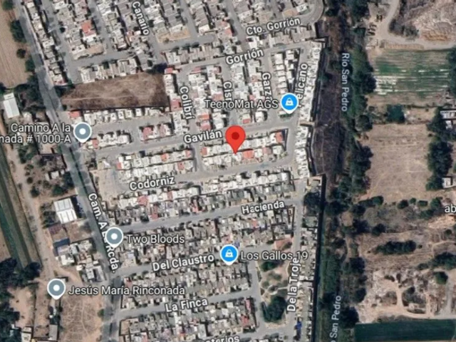 place photo 6