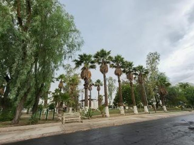 place photo 12