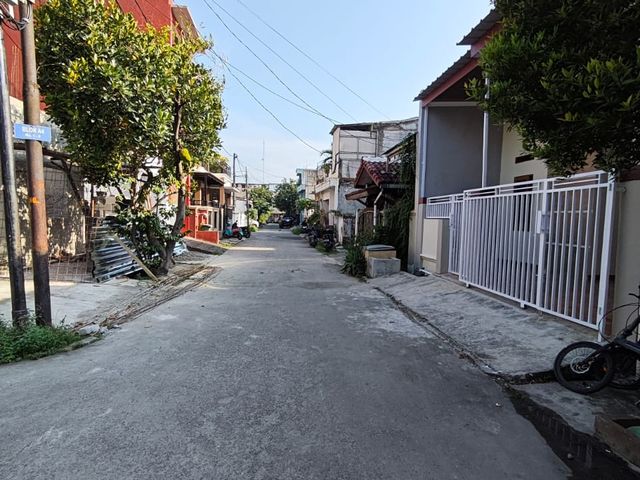 place photo 11