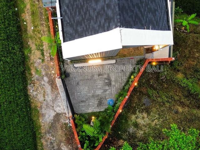 place photo 37