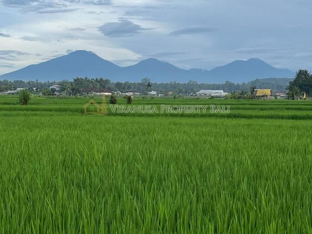 place photo 51