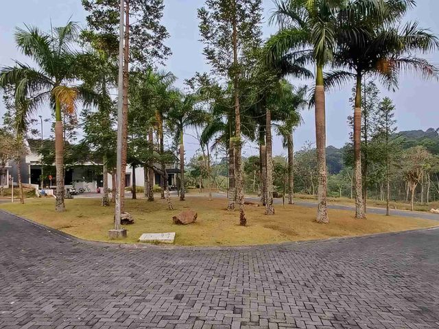 place photo 9