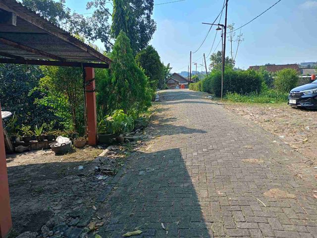 place photo 7