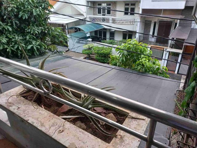 place photo 10