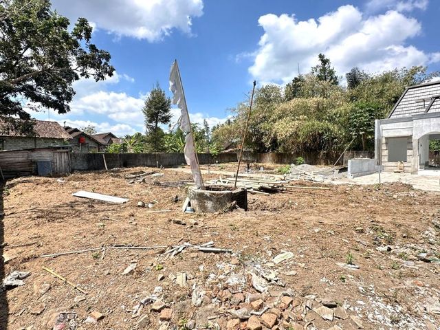 place photo 3