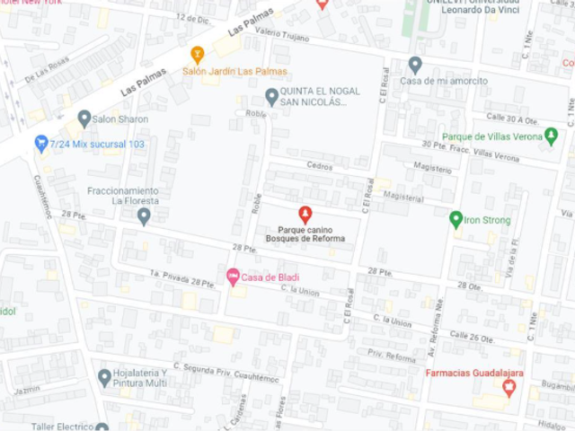 place photo 15