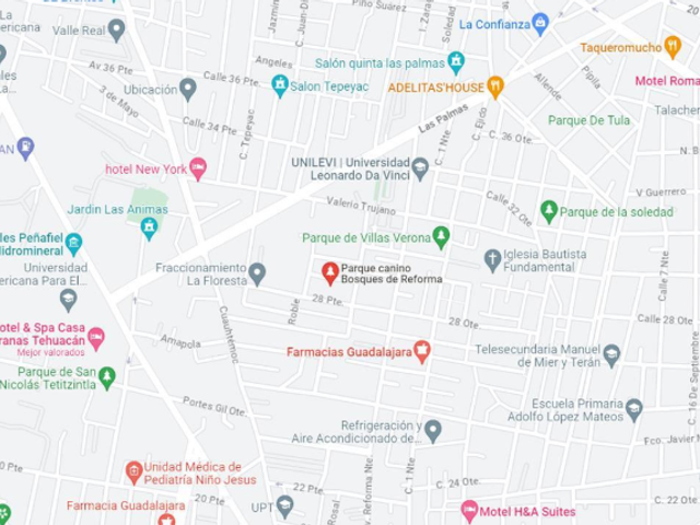 place photo 16