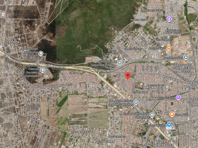 place photo 12