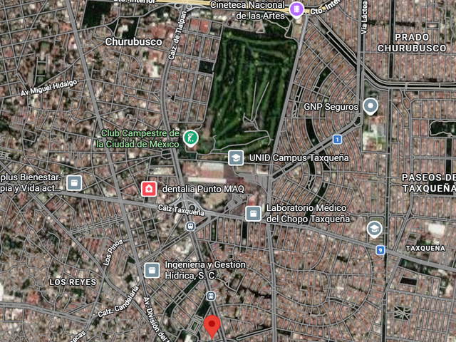 place photo 16