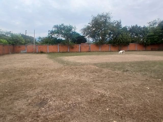 place photo 21