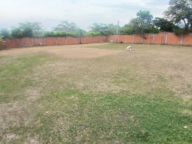 place photo 32