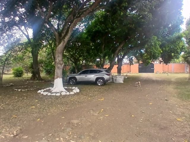 place photo 27