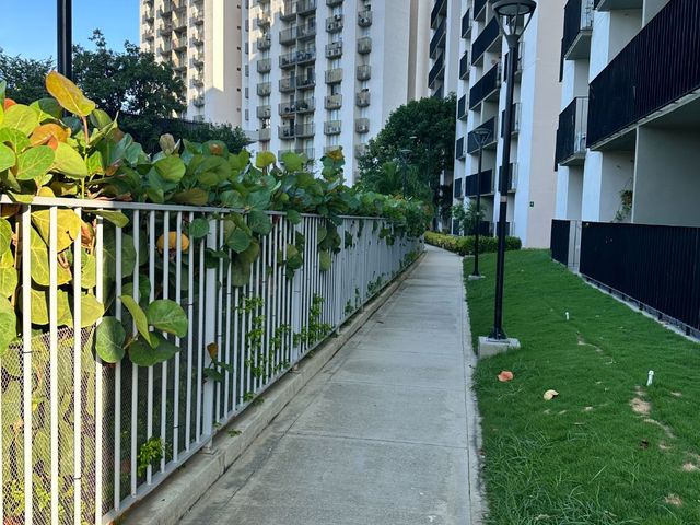 place photo 60