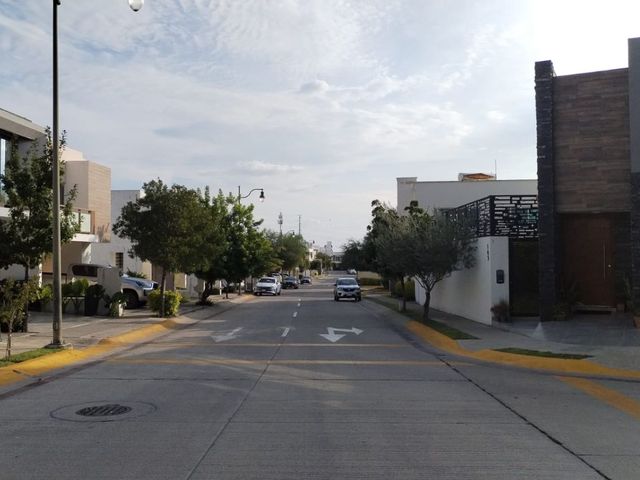 place photo 39