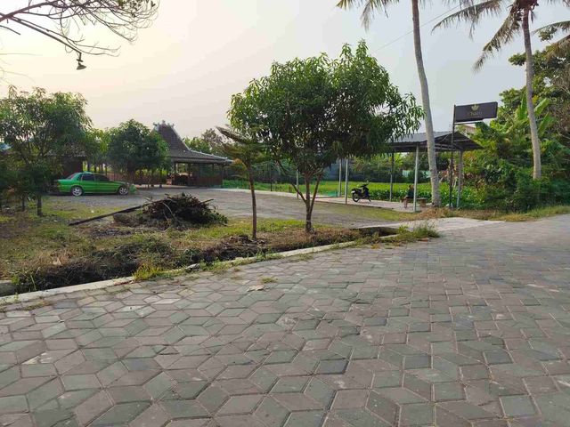 place photo 5
