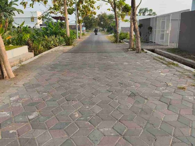 place photo 6
