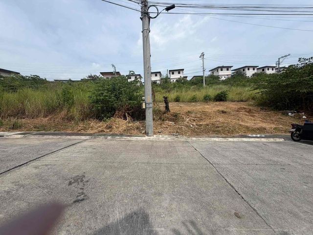 place photo 29