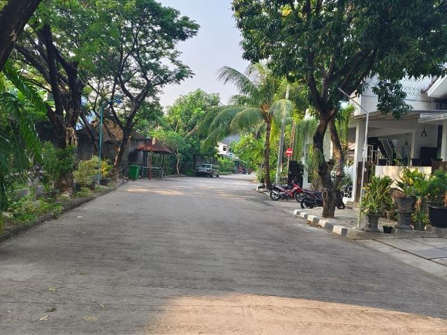 place photo 16