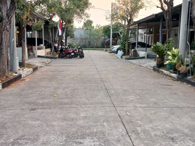 place photo 13