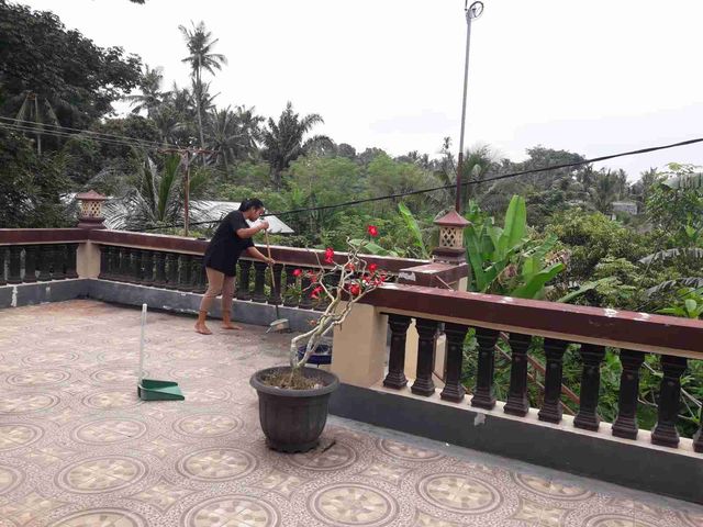 place photo 24