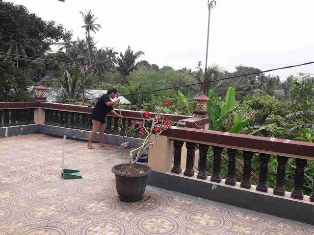 place photo 22