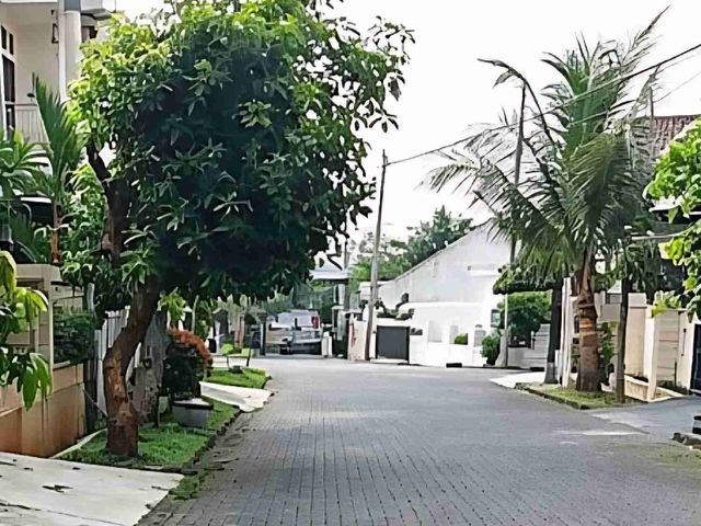 place photo 15