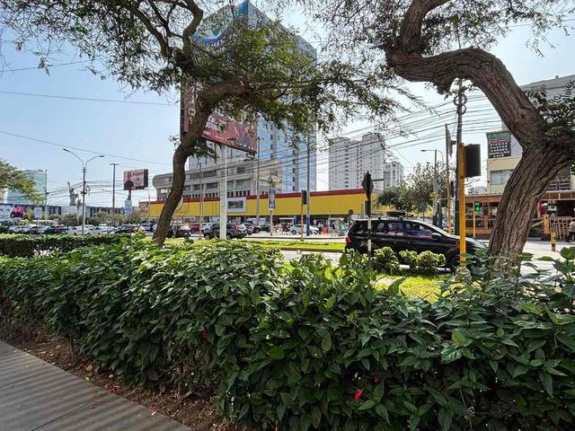 place photo 32