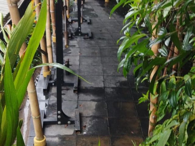 place photo 25
