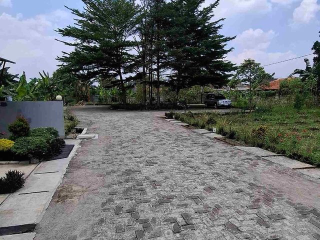 place photo 17