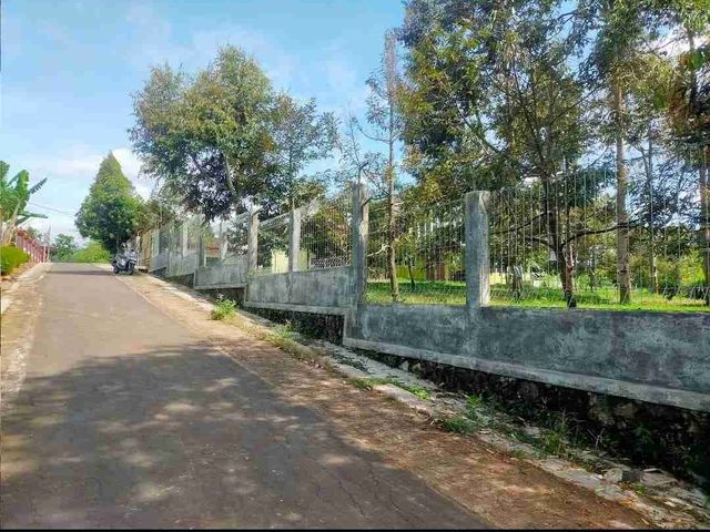 place photo 6