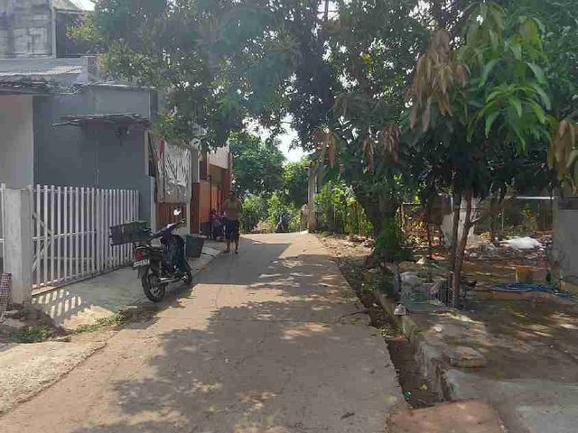 place photo 25