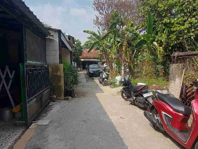 place photo 27