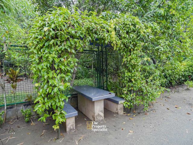 place photo 32
