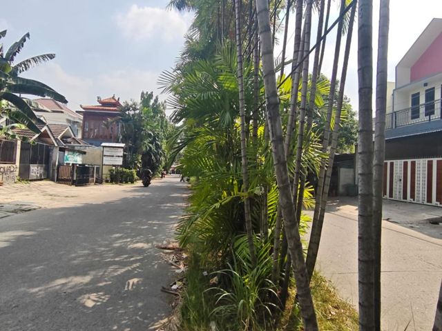 place photo 13