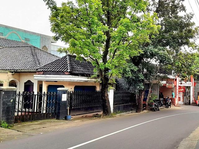 place photo 20