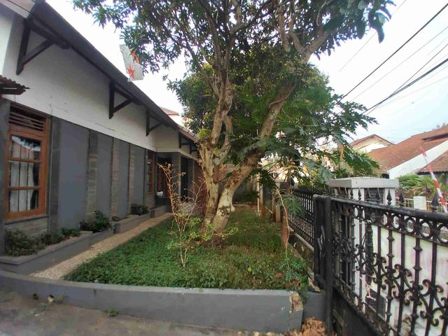 place photo 25