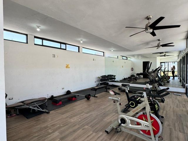place photo 15