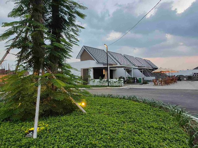 place photo 23