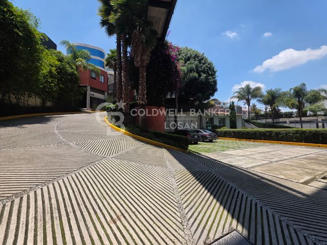 place photo 28