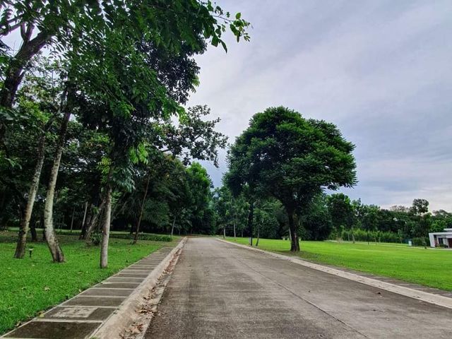 place photo 26