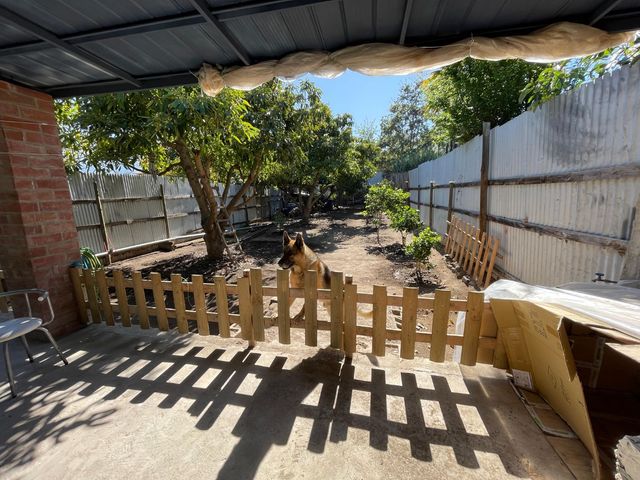 place photo 26
