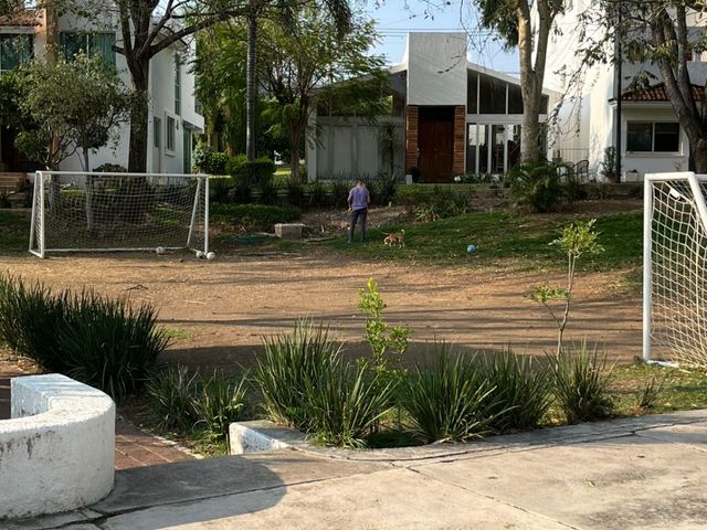 place photo 37