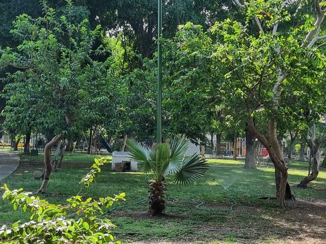 place photo 22