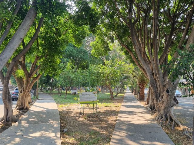 place photo 23