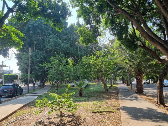 place photo 24