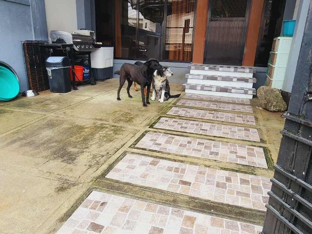 place photo 27