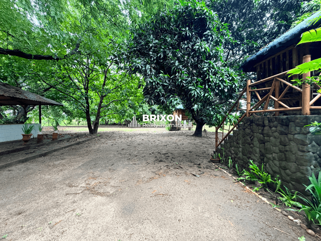 place photo 29
