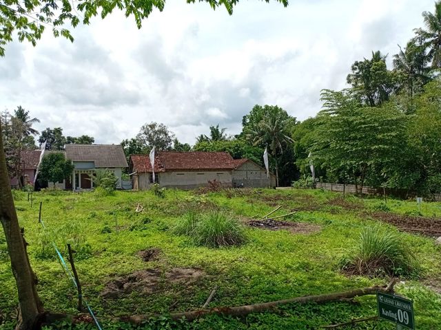 place photo 6