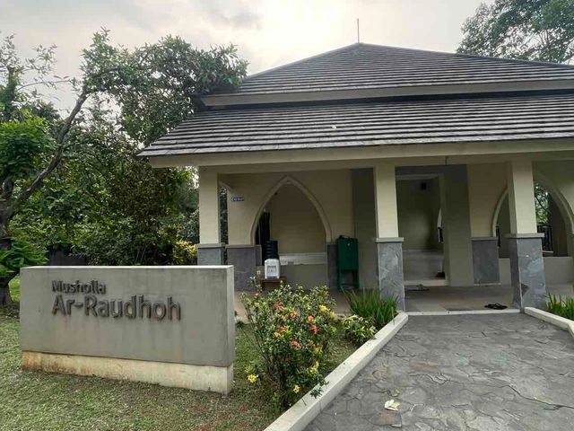 place photo 16