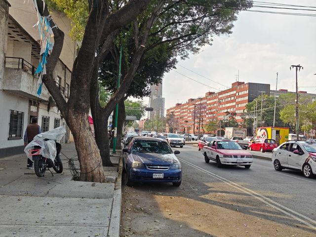 place photo 23